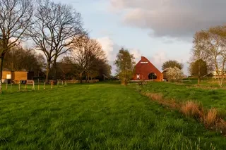 Wittmunder Klinker - Haus am Deich - Sortierung 18 - Wiese