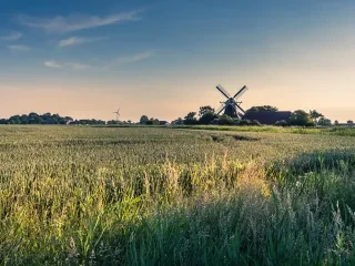 Ein Feld mit einer Mühle am Horizont